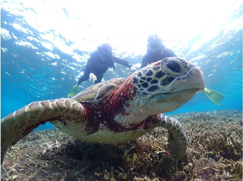 Nami宮古島 のギャラリー