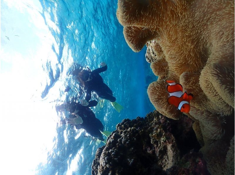 Nami宮古島 のギャラリー