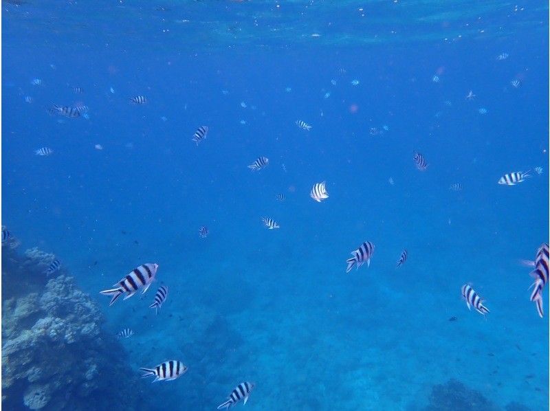 3 piece のギャラリー