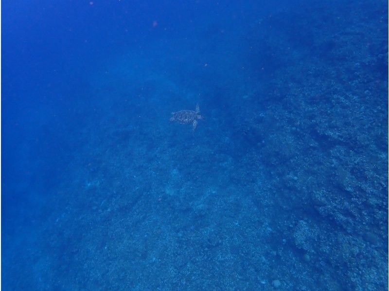 AQUA COLOR'S(アクアカラーズ) のギャラリー