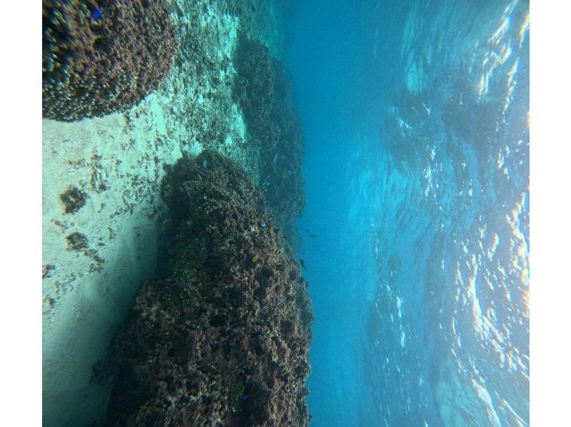 Diving Shop Lei のギャラリー