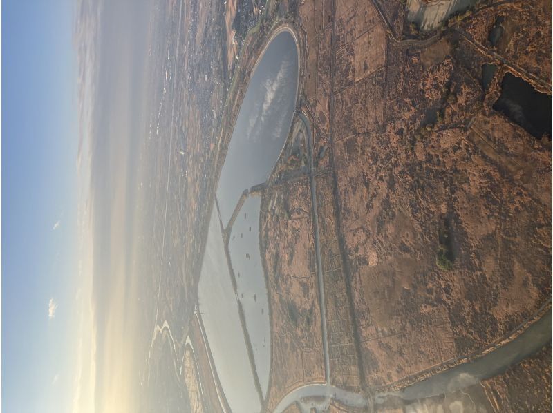 スマイルバルーン のギャラリー