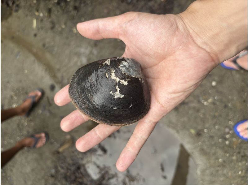 石垣島 海ツアー のギャラリー