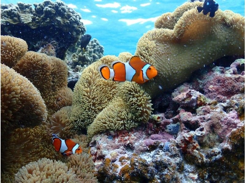 宮古島 ADVENTURE PiPi（ピピ） のギャラリー