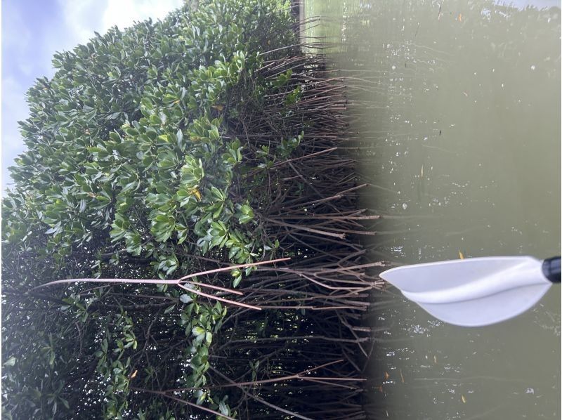 あまんだまん のギャラリー