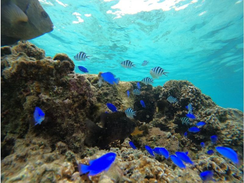 武藤潜水 のギャラリー