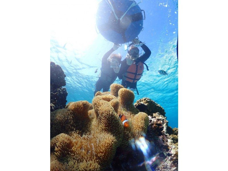 宮古島マリン GB QUEST のギャラリー