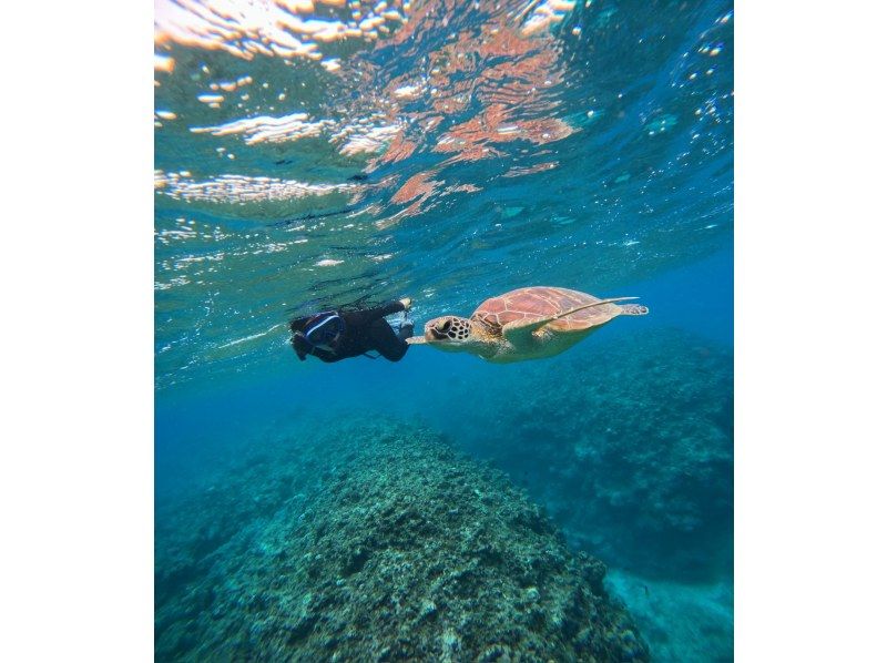 Sea Chan 石垣島 のギャラリー