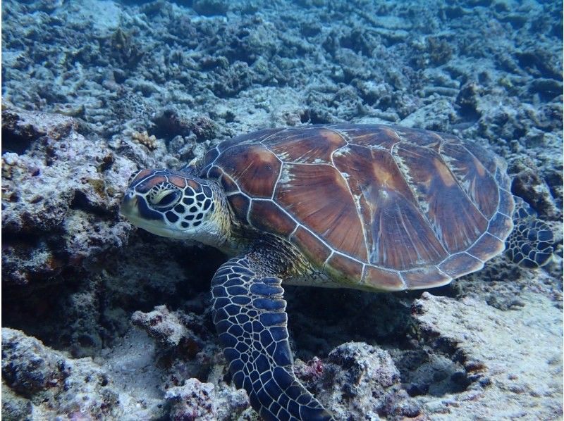 3 piece のギャラリー