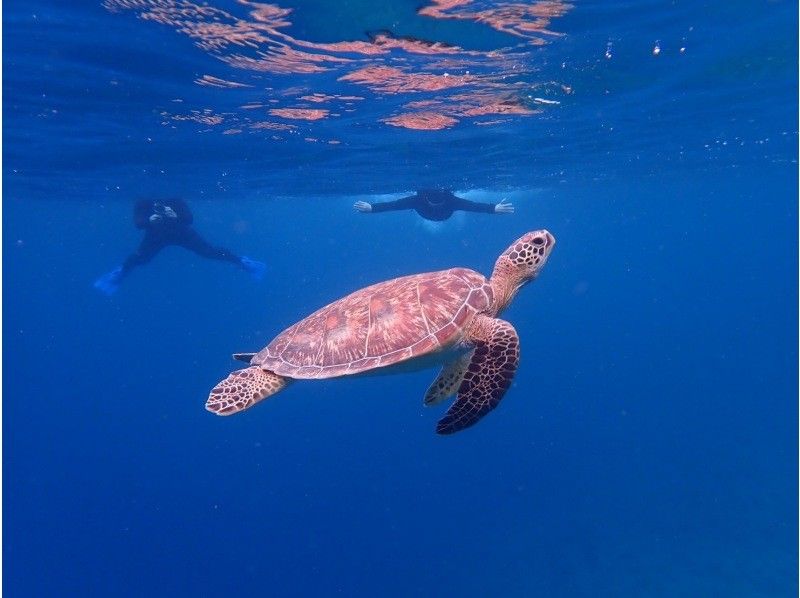 3 piece のギャラリー