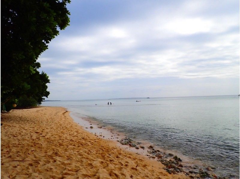 3 piece のギャラリー