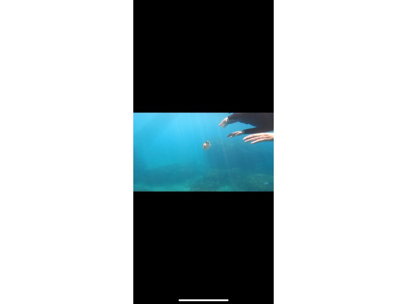 沖縄マリンサービスTI.OCEAN のギャラリー