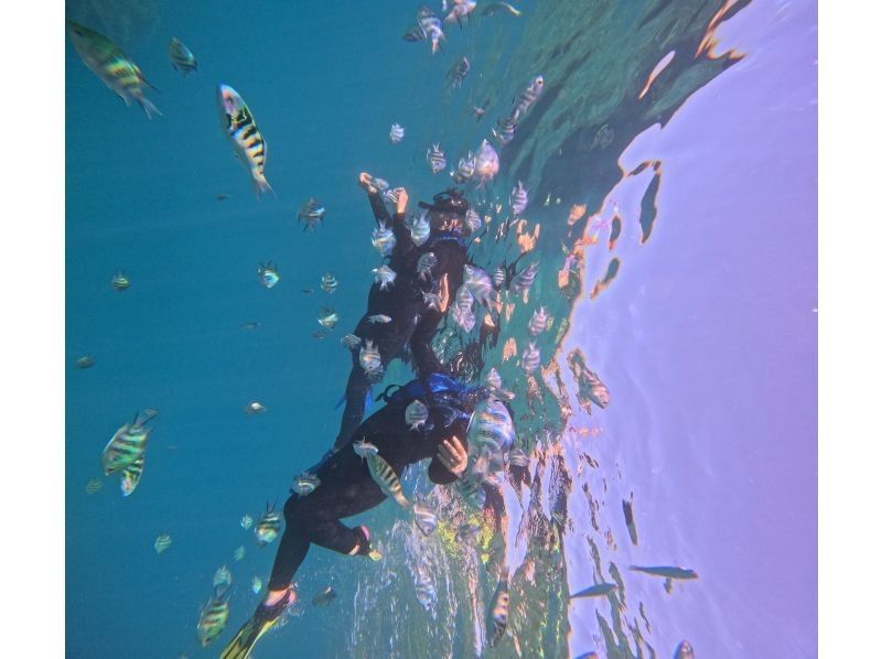 沖縄マリンサービスTI.OCEAN のギャラリー