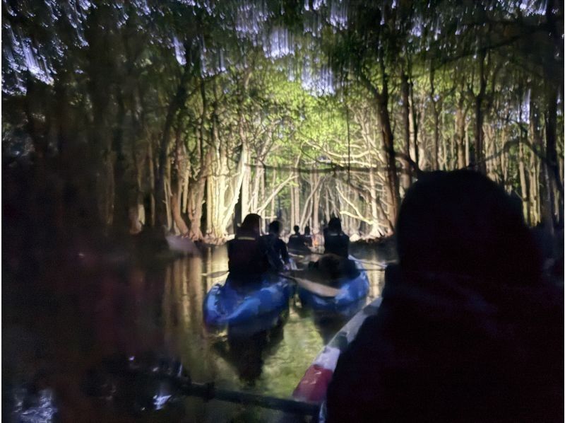 石垣島 海ツアー のギャラリー