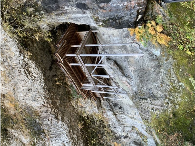 Field Only のギャラリー