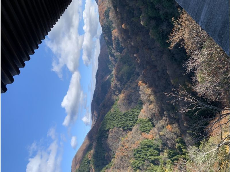 Field Only のギャラリー