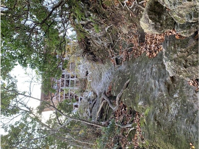 Field Only のギャラリー