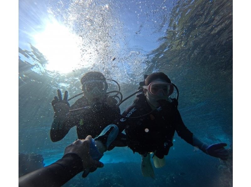 武藤潜水 のギャラリー