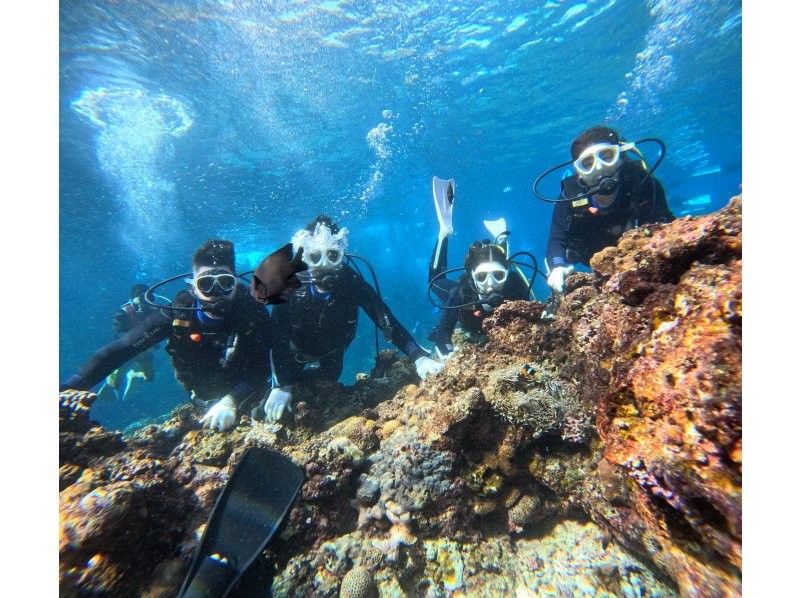 Diving Shop Lei のギャラリー