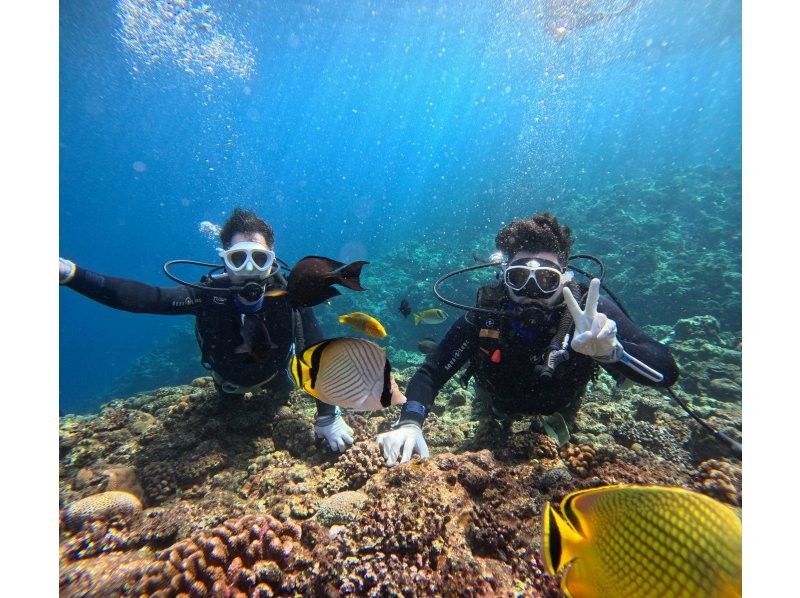 Diving Shop Lei のギャラリー