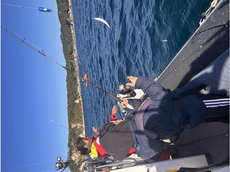 SeafariJapan合同会社 のギャラリー