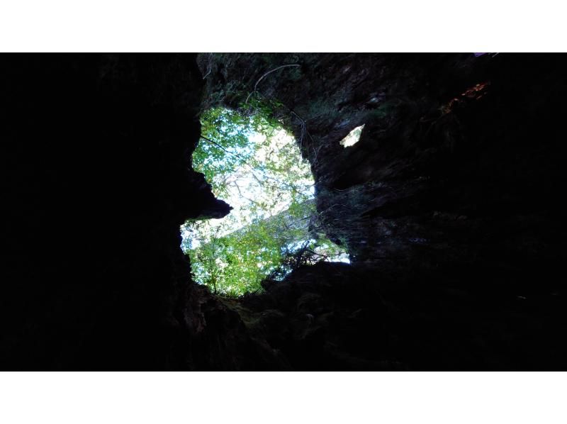 Yamakara屋久島 のギャラリー