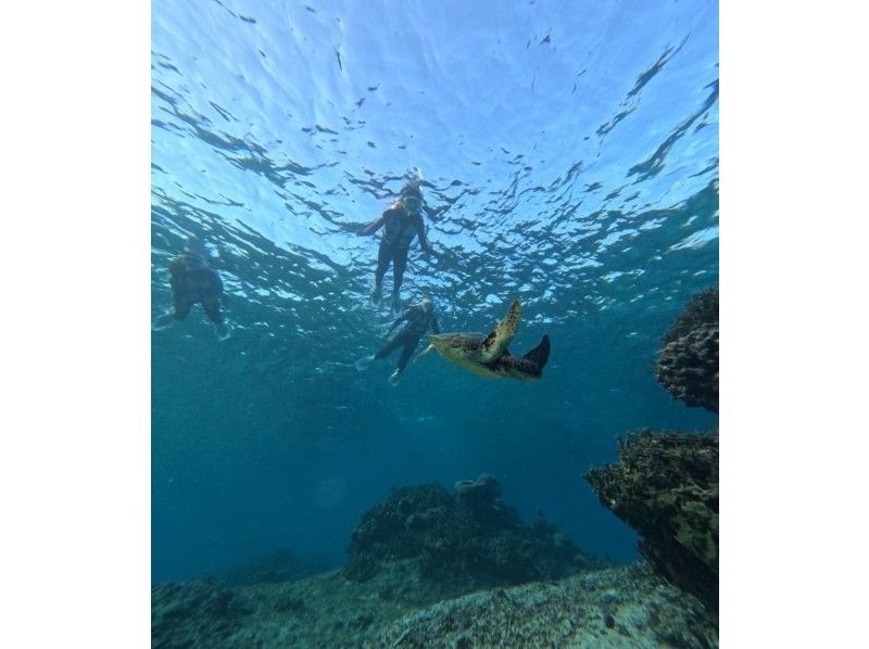 宮古島マリン SUGAR3 のギャラリー