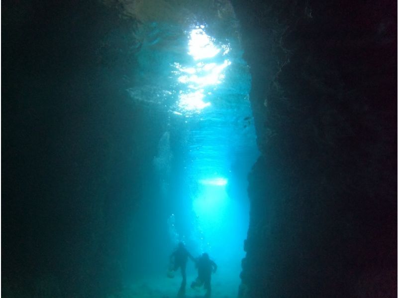 武藤潜水 のギャラリー