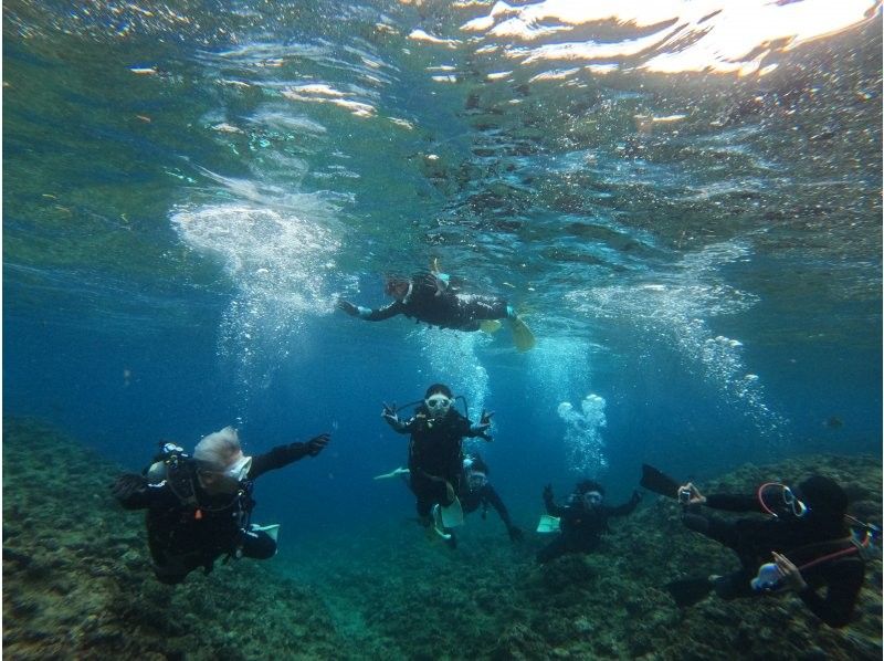 武藤潜水 のギャラリー
