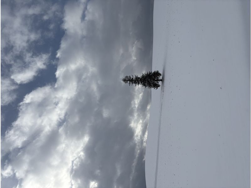 途易集団日本株式会社 のギャラリー