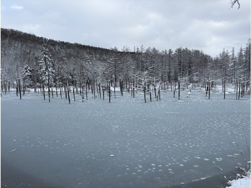 途易集団日本株式会社 のギャラリー