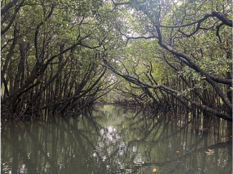 石垣島 海ツアー のギャラリー