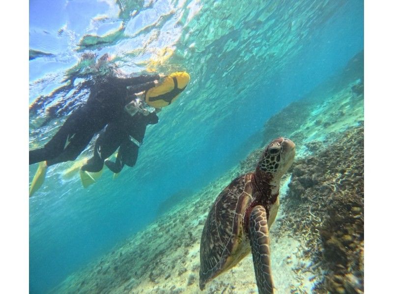 COCO宮古島 のギャラリー