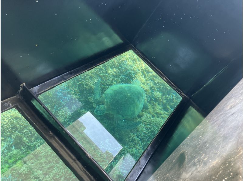 久米島エスコートツアーズ のギャラリー