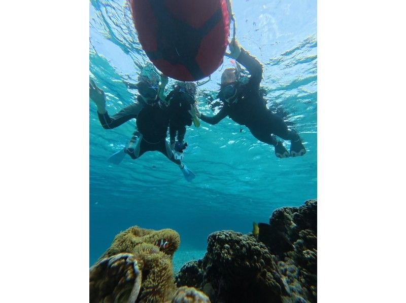 オースリーシュノーケル宮古島 のギャラリー