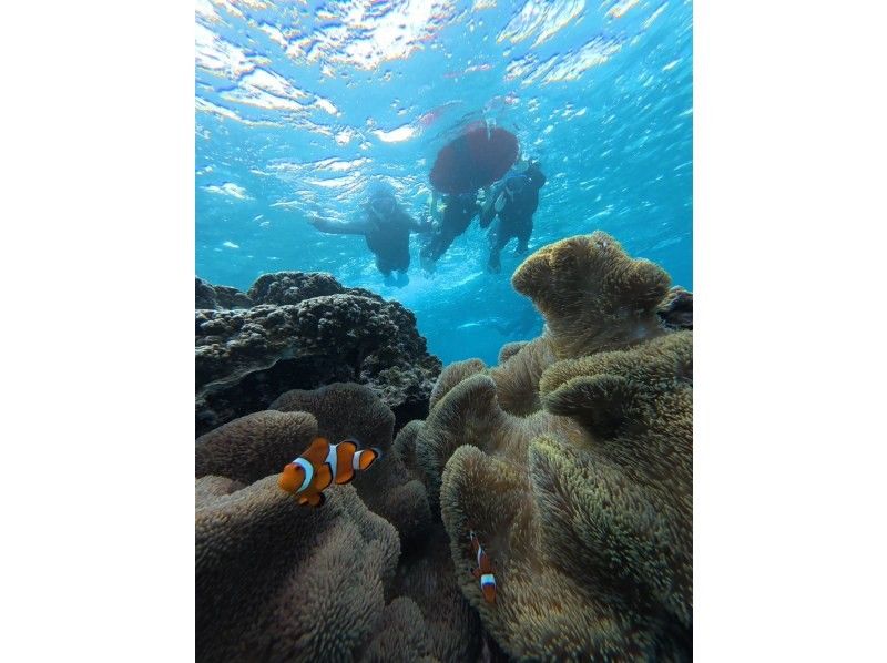 オースリーシュノーケル宮古島 のギャラリー