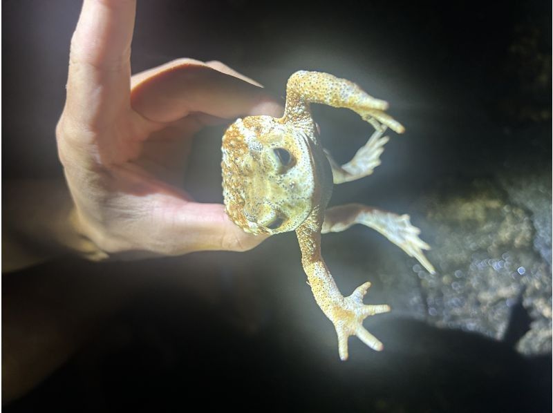 宮古島 ADVENTURE PiPi（ピピ） のギャラリー