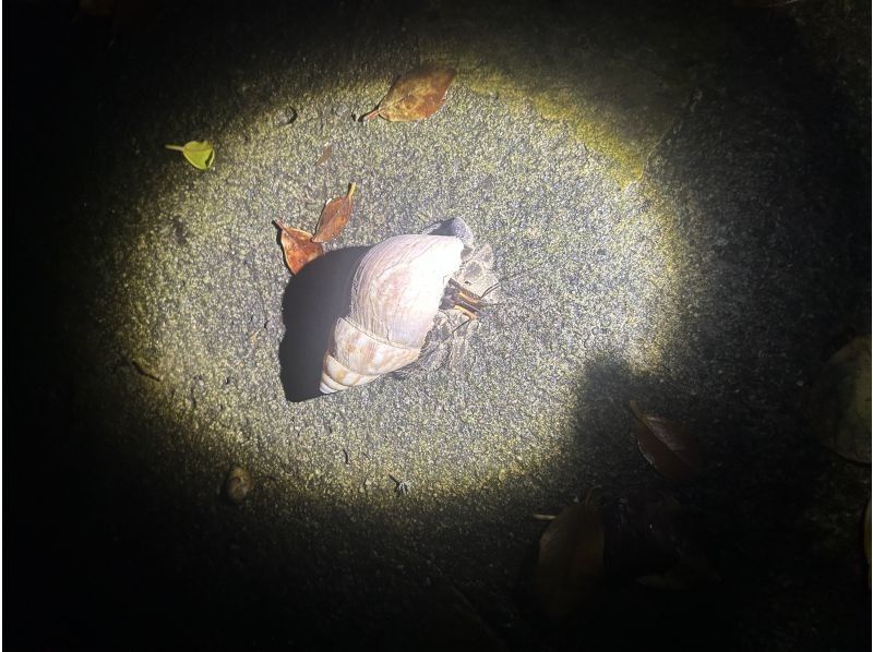 宮古島 ADVENTURE PiPi（ピピ） のギャラリー