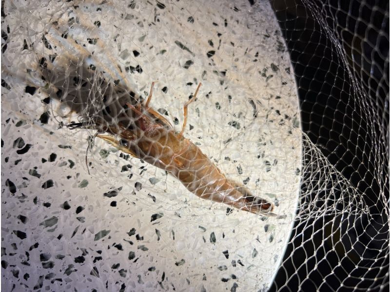 NATURE SHOP PAO のギャラリー