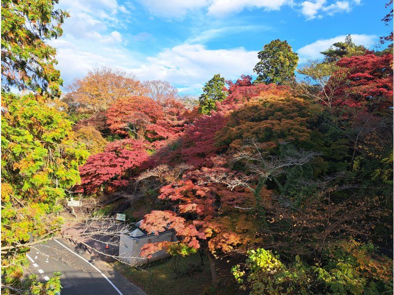 アクティビティジャパン東北（いわき観光まちづくりビューロー） のギャラリー