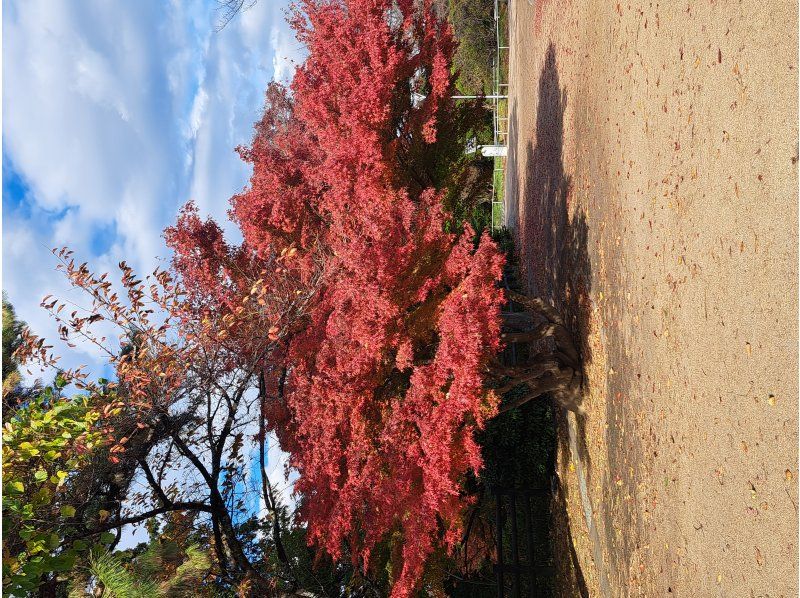 アクティビティジャパン東北（いわき観光まちづくりビューロー） のギャラリー