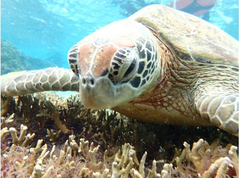 nico 宮古島 のギャラリー