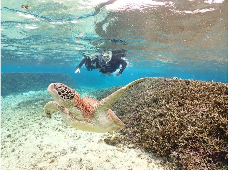 nico 宮古島 のギャラリー