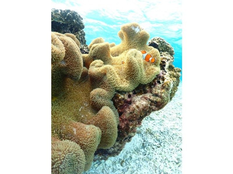 nico 宮古島 のギャラリー