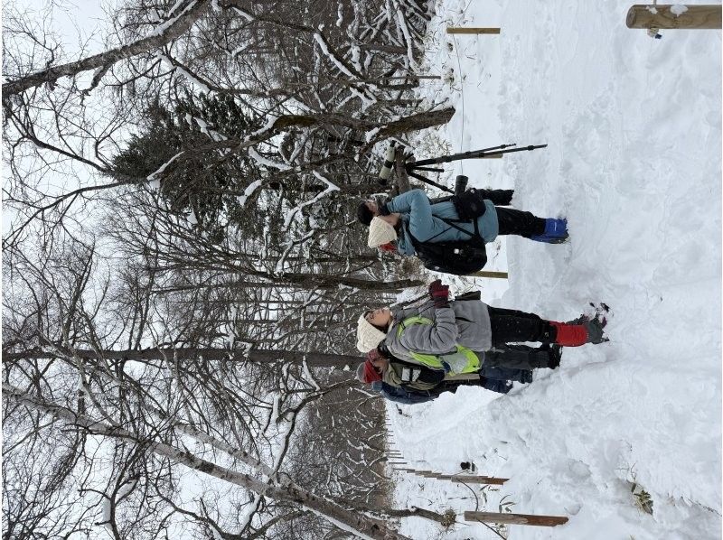 株式会社日光自然博物館 のギャラリー