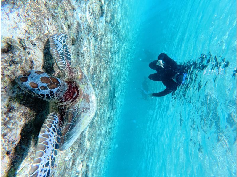 宮古島 ADVENTURE PiPi（ピピ） のギャラリー