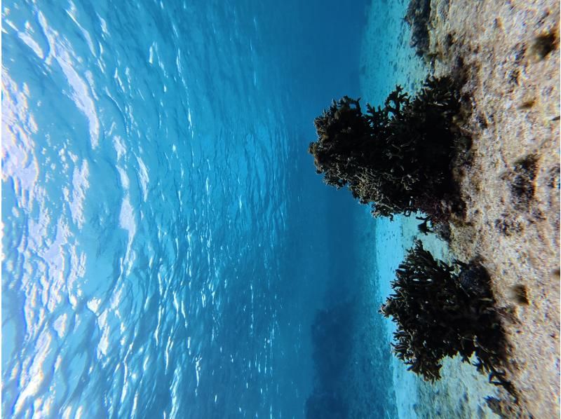 宮古島 ADVENTURE PiPi（ピピ） のギャラリー