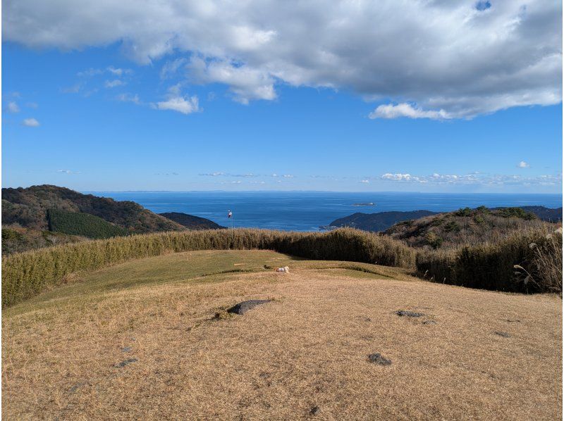 パラホーキング イン ジャパン のギャラリー