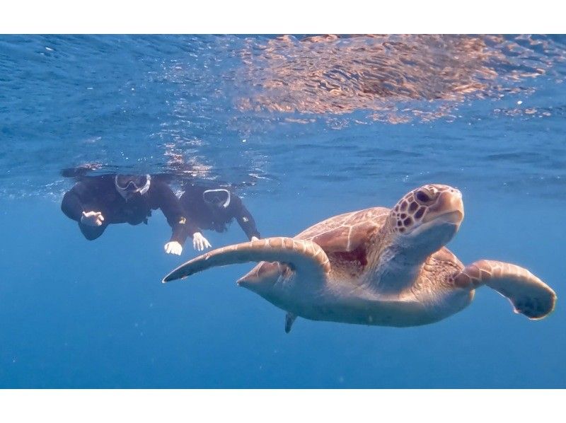 South Blue 石垣島 のギャラリー