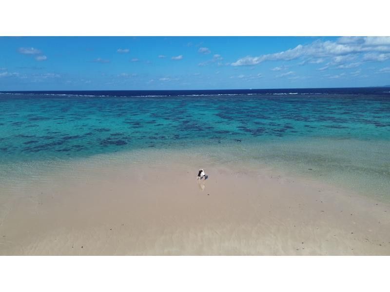 South Blue 石垣島 のギャラリー